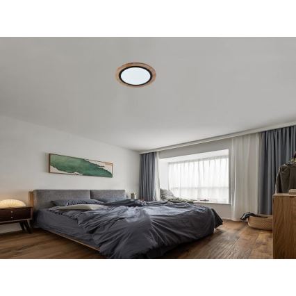 Dimeriuojamas LED lubų šviestuvas LED/25W/230V 3000-6500K + nuotolinis valdymas