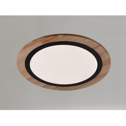 Dimeriuojamas LED lubų šviestuvas LED/25W/230V 3000-6500K + nuotolinis valdymas