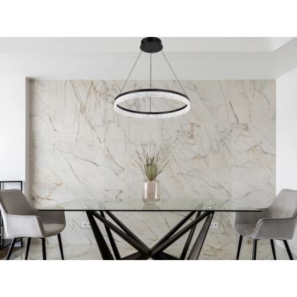 LED reguliuojama liustra ant laido ALIANZ LED/60W/230V 3000–6000K Ø 80 cm + nuotolinis valdymas