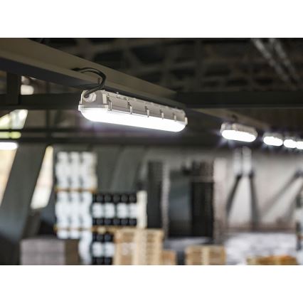 Dimeriuojamas LED techninis šviestuvas LED/35/44/53/60W/230V IP66 150 cm