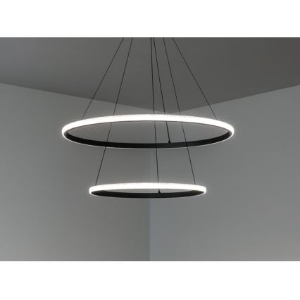 LED dimeriuojamas kabantis šviestuvas ant troselio LED/55W/230V 3000-6500K skersmuo 60 cm + nuotolinis pultelis