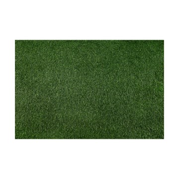 Dirbtinė žolė BELLIN 200x400 cm 18 mm žalia