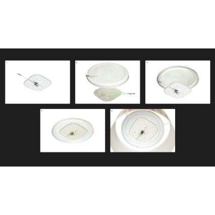 Duolla - LED lubinis šviestuvas LUNETA LED/26W/230V diametras 60 cm 4000K žalia/auksas