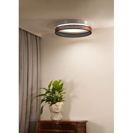 Duolla - LED lubinis šviestuvas ROLLER DUO SHINY LED/24W/230V diametras 45 cm balta/varis