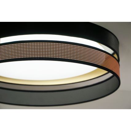 Duolla - LED lubinis šviestuvas ROLLER DUO SHINY LED/24W/230V diametras 45 cm juoda/varis