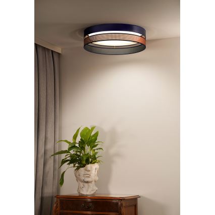 Duolla - LED lubinis šviestuvas ROLLER DUO SHINY LED/24W/230V diametras 45 cm mėlyna/varis