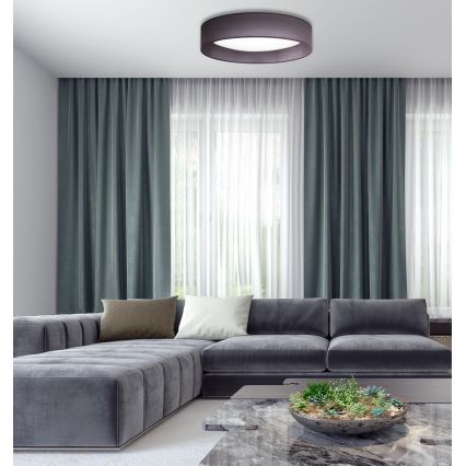 Duolla - LED lubinis šviestuvas ROLLER LED/24W/230V diametras 45 cm antracitas