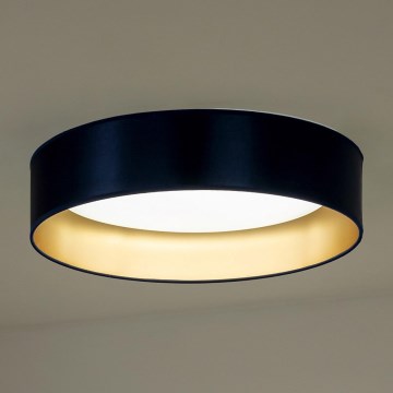 Duolla - LED lubinis šviestuvas ROLLER LED/24W/230V diametras 45 cm mėlyna/auksas