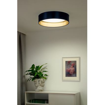 Duolla - LED lubinis šviestuvas ROLLER LED/24W/230V diametras 45 cm mėlyna/auksas
