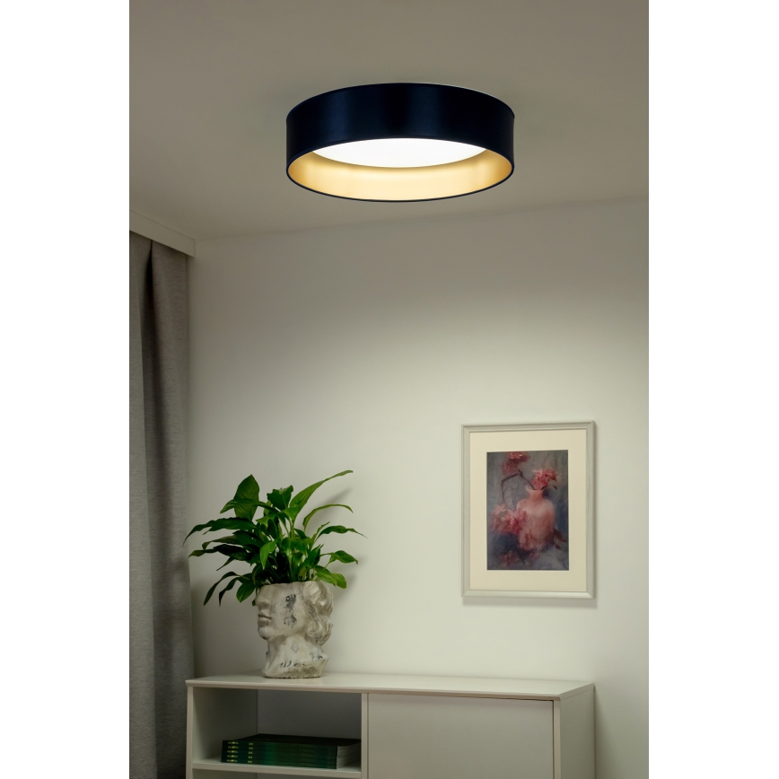 Duolla - LED lubinis šviestuvas ROLLER LED/24W/230V diametras 45 cm mėlyna/auksas
