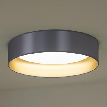 Duolla - LED lubinis šviestuvas ROLLER LED/24W/230V diametras 45 cm sidabras/auksas