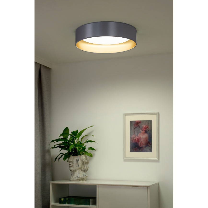 Duolla - LED lubinis šviestuvas ROLLER LED/24W/230V diametras 45 cm sidabras/auksas
