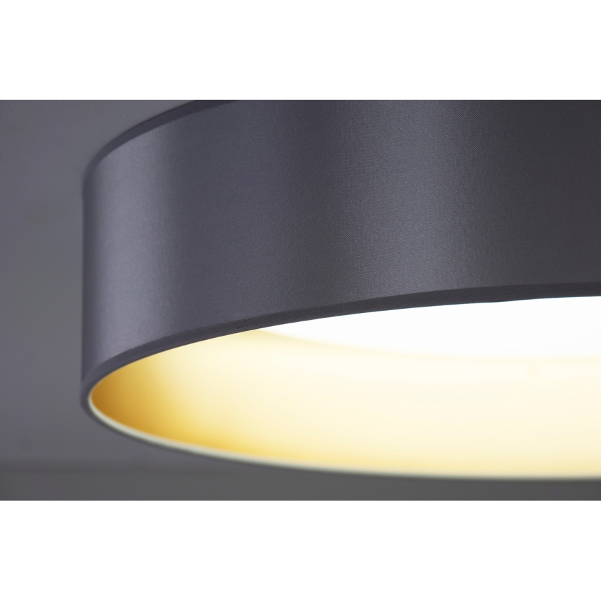 Duolla - LED lubinis šviestuvas ROLLER LED/24W/230V diametras 45 cm sidabras/auksas