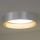 Duolla - LED lubinis šviestuvas ROLLER LED/24W/230V diametras 45 cm sidabras/auksas