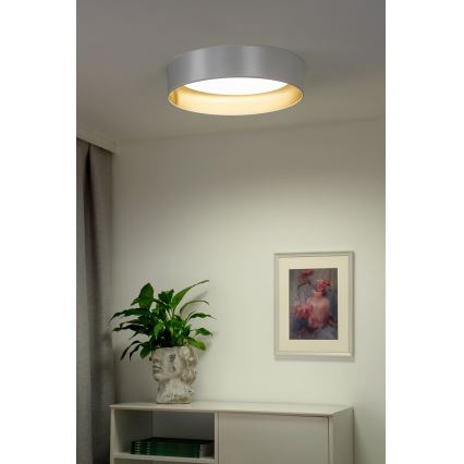 Duolla - LED lubinis šviestuvas ROLLER LED/24W/230V diametras 45 cm sidabras/auksas