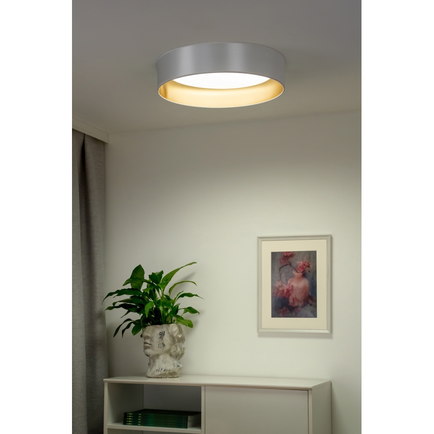 Duolla - LED lubinis šviestuvas ROLLER LED/24W/230V diametras 45 cm sidabras/auksas