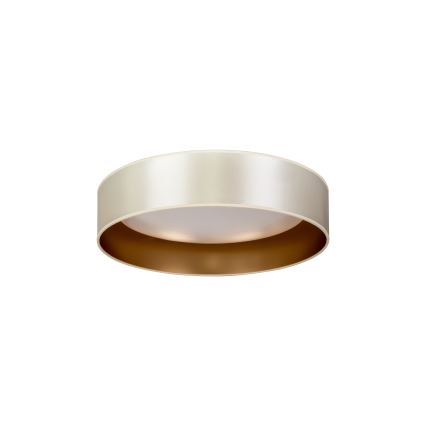 Duolla - LED lubinis šviestuvas ROLLER LED/24W/230V diametras 45 cm sidabras/auksas