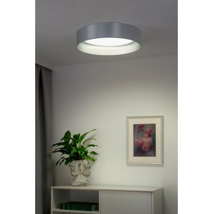 Duolla - LED lubinis šviestuvas ROLLER LED/24W/230V diametras 45 cm sidabras