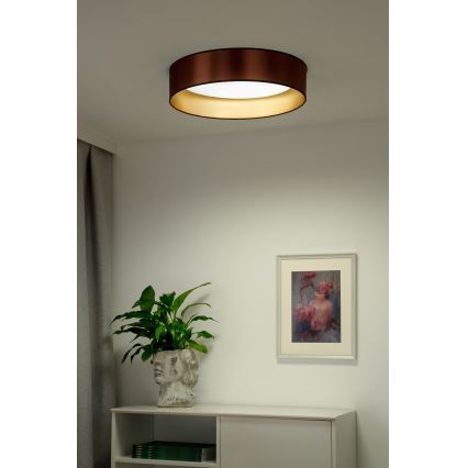 Duolla - LED lubinis šviestuvas ROLLER LED/24W/230V diametras 45 cm varis/auksas