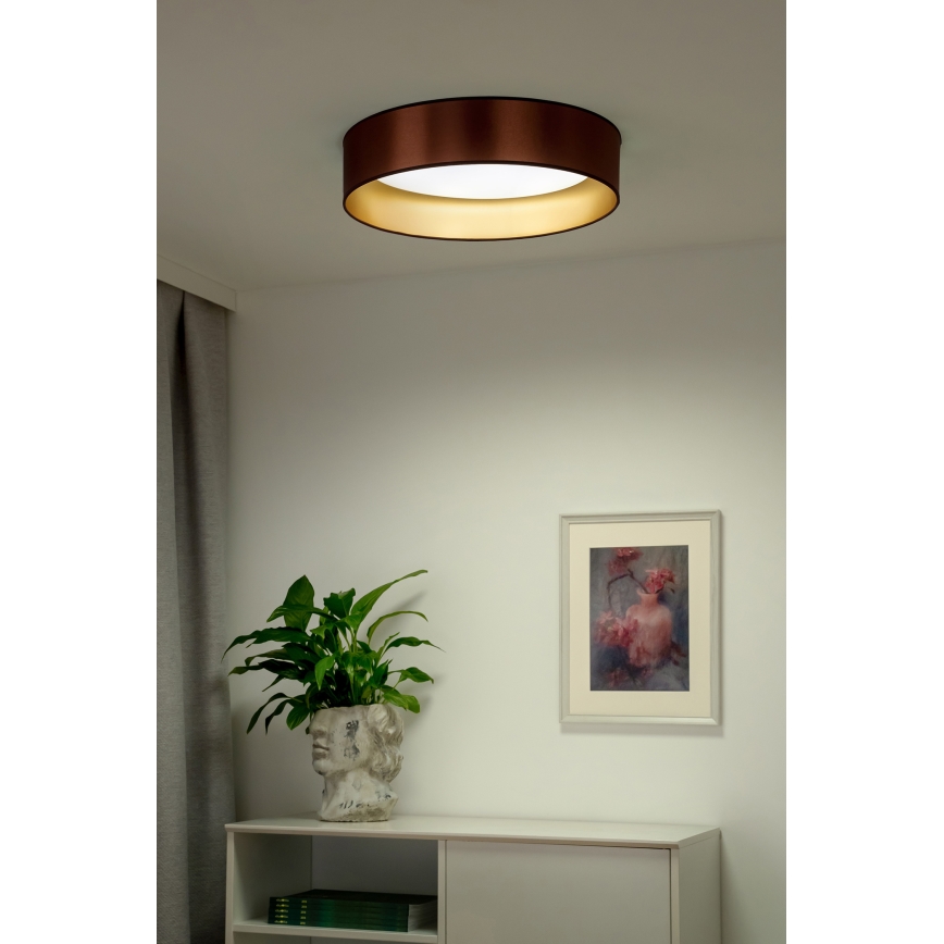 Duolla - LED lubinis šviestuvas ROLLER LED/24W/230V diametras 45 cm varis/auksas