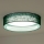 Duolla - LED lubinis šviestuvas ROLLER LED/24W/230V diametras 45 cm žalia