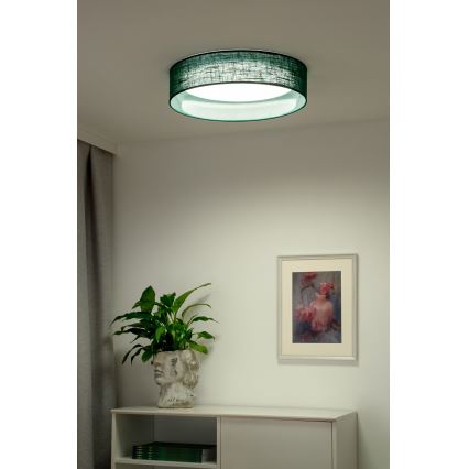 Duolla - LED lubinis šviestuvas ROLLER LED/24W/230V diametras 45 cm žalia