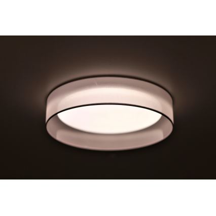 Duolla - LED lubinis šviestuvas ROLLER LED/24W/230V šviestuvas diametras 45 cm pilka