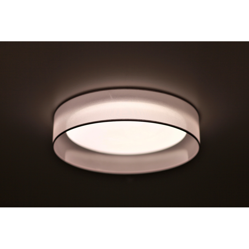 Duolla - LED lubinis šviestuvas ROLLER LED/24W/230V šviestuvas diametras 45 cm pilka