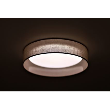 Duolla - LED lubinis šviestuvas ROLLER LED/24W/230V šviestuvas diametras 45 cm pilka