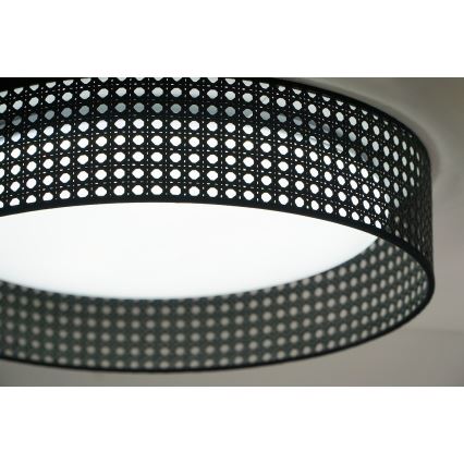 Duolla - LED lubinis šviestuvas ROLLER RATTAN LED/24W/230V diametras 45 cm juoda