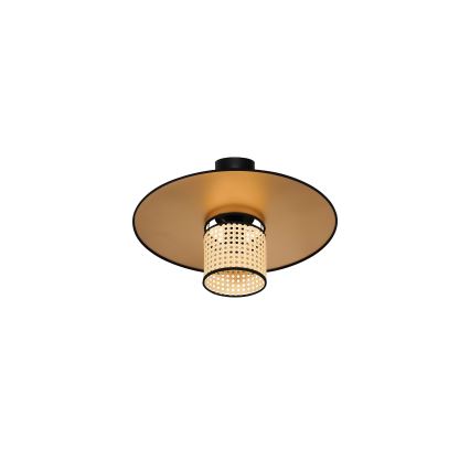 Duolla - Tvirtinamas sietynas TOKYO RATTAN 1xE27/15W/230V diametras 50 cm auksas/rotangas