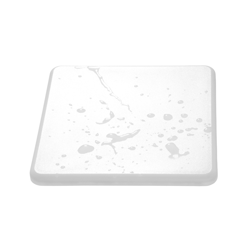 LED Įleidžiamas lubinis vonios šviestuvas ROXY LED/6W/230V IP66