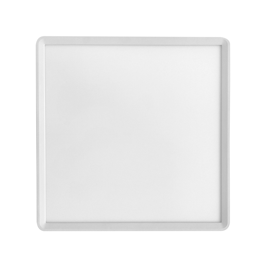 LED lubinis šviestuvas TERY LED/50W/230V 3000/4000/6000K 90x60 cm IP40 balta