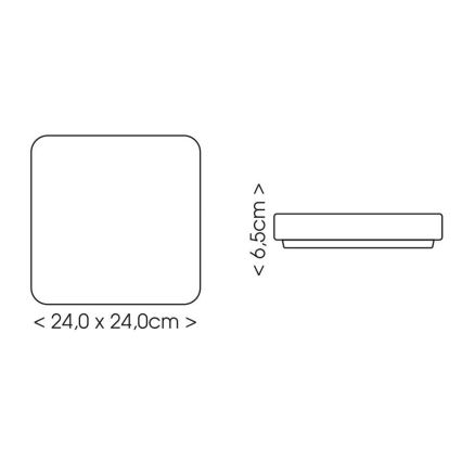 LED lubinis vonios šviestuvas LUKY LED/12W/230V 4000K 24x24 cm IP44