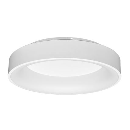 LED Reguliuojamas lubinis šviestuvas NEST LED/40W/230V 3000-6500K baltas