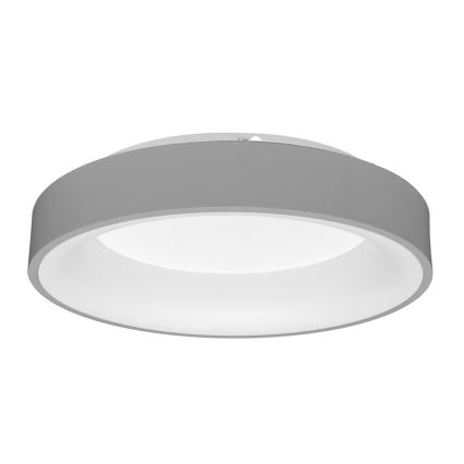 LED Reguliuojamas lubinis šviestuvas NEST LED/40W/230V 3000-6500K pilkas + valdymo pultas