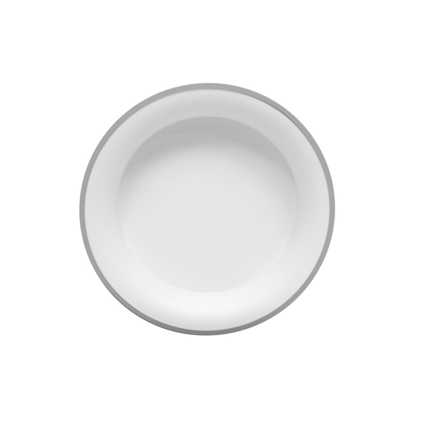 LED Reguliuojamas lubinis šviestuvas NEST LED/40W/230V 3000-6500K pilkas + valdymo pultas
