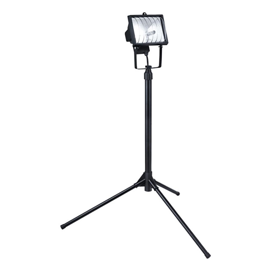 Eglo 30204 - Prožektorius su stovu ALEGA 1xR7s/400W/230V IP44