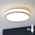 Eglo 31025 - LED Vonios kambario lubinis šviestuvas PALERMO 2xE14/40W/230V IP44
