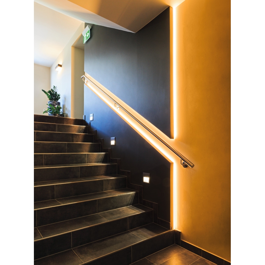 Eglo 31409 - LED RGBW Reguliuojama juostelė 5m LED/11W/12/230V 2700-6500K