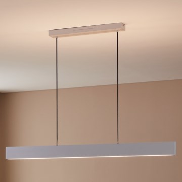 Eglo 31436 - LED RGBW Reguliuojamas pakabinamas sietynas ANDREAS-Z LED/38W/230V 2700-6500K balta