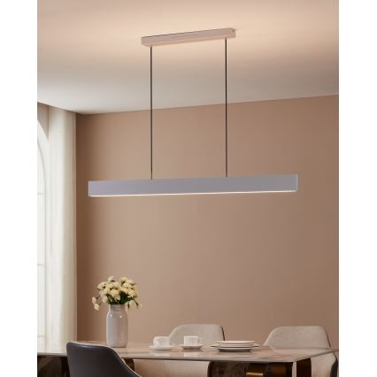 Eglo 31436 - LED RGBW Reguliuojamas pakabinamas sietynas ANDREAS-Z LED/38W/230V 2700-6500K balta