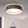 Eglo 31623 - LED lubinis šviestuvas MASERLO LED/16W/230V 3000K Ø 40,5 cm pilka/sidabrinė