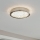 Eglo 32047 - LED lubinis šviestuvas AREZZO 2 LED/17,92W/230V