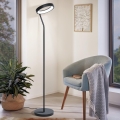 Eglo 32327 - LED RGBW dimeriuojamas grindinis šviestuvas MARGHERA-C LED/15,5W/230V 2700-6500K juodas