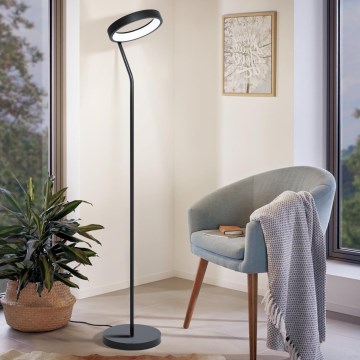 Eglo 32327 - LED RGBW dimeriuojamas grindinis šviestuvas MARGHERA-C LED/15,5W/230V 2700-6500K juodas