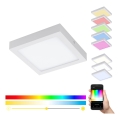 Eglo 33316 - LED RGBW dimeriuojamas lubinis šviestuvas FUEVA-C LED/15,6W/230V 2700-6500K 22,5x22,5 cm baltas