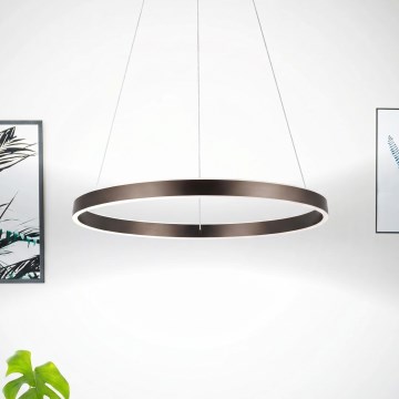 Eglo 33483 - LED liustra ant laido ALCAZABA 2xLED/18W/230V 3000K Ø 55 cm bronzinė