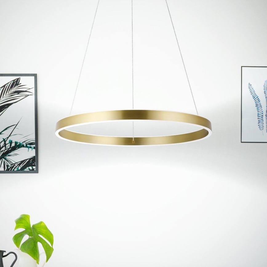Eglo 33484 - LED pakabinama liustra ant laido ALCAZABA 2xLED/18W/230V 3000K skersmuo 55 cm auksinė
