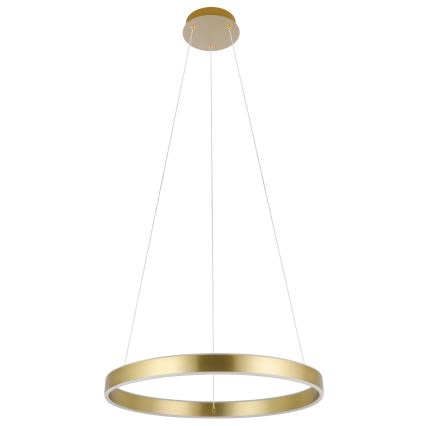 Eglo 33484 - LED pakabinama liustra ant laido ALCAZABA 2xLED/18W/230V 3000K skersmuo 55 cm auksinė
